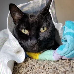 Meet your Posher, Krissy